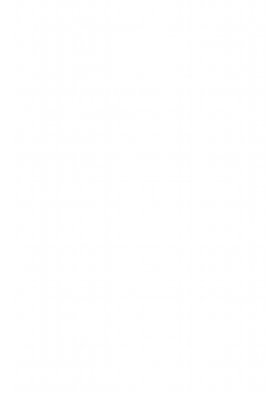 Соловки. Воспоминания и рассказы из поездки с богомольцами | Немирович-Данченко Василий Иванович