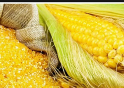 Кукуруза дробленая, 40 кг