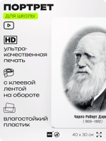 Портрет для школы в кабинет биологии "Чарльз Роберт Дарвин", стенд школьный для класса, деятели науки для оформления классного уголка, 40х30 см, Silver Plane x Айдентика Технолоджи