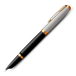 Ручка перьевая Parker 51 Premium Black (2169030)