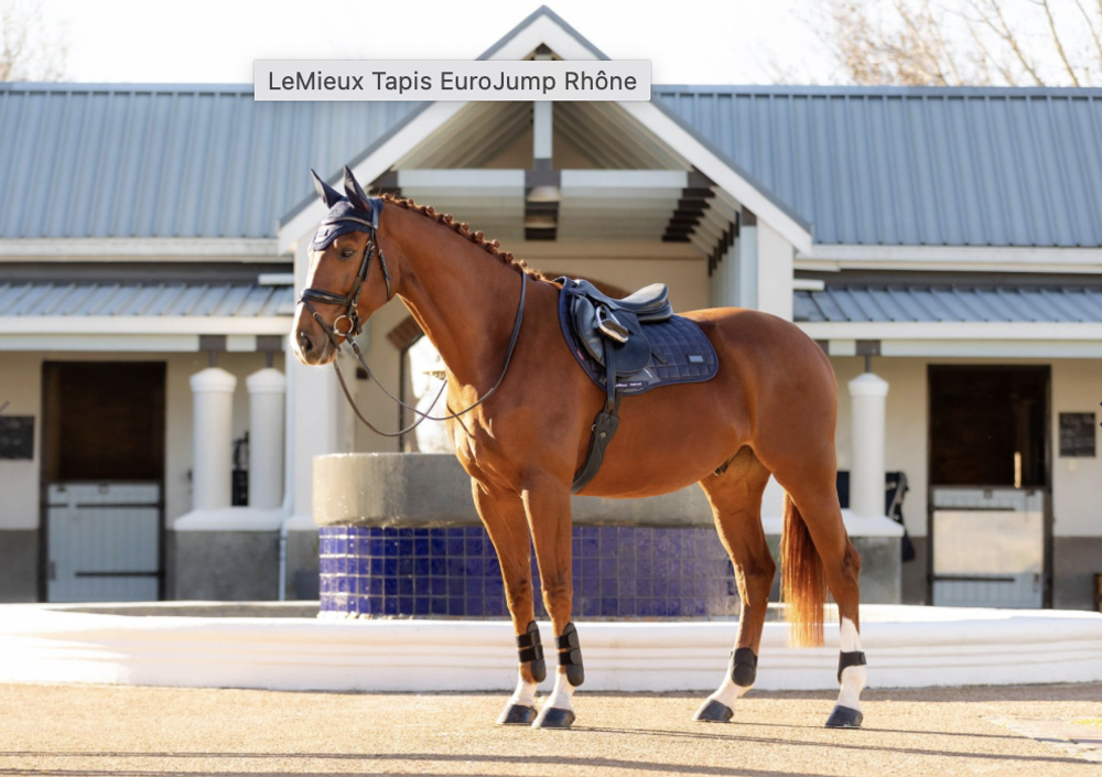 Вальтрап конкурный LeMieux EuroJump Rhône