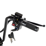 ЭЛЕКТРОСКУТЕР CITYCOCO GT X5 TRIKE 1500W 15AH 48V Синий