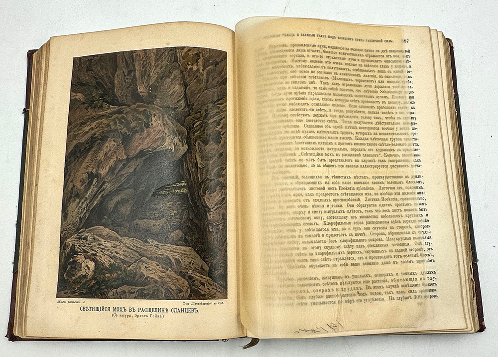 Кернер А. Жизнь растений, в 2-х т., СПб., Просвещение, 1901-1903г.