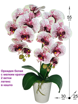 Искусственная Орхидея белая с мелким крапом 2 ветки латекс в кашпо