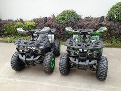 Квадроцикл взрослый, подростковый GreenCamel Атакама T520 (60V 1500W R8 Дифференциал) электро