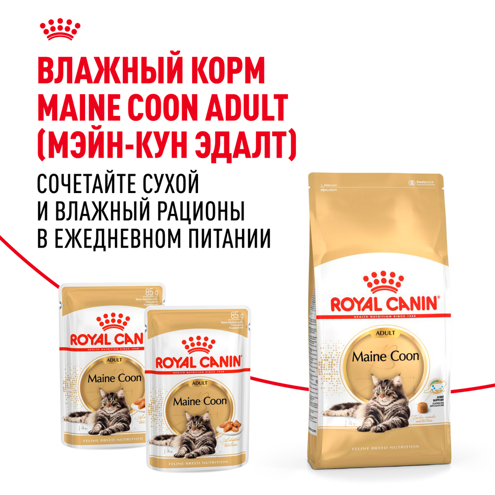 Сухой корм ROYAL CANIN Maine Coon Adult Корм для взрослых кошек породы Мэйн Кун - 0,4 кг