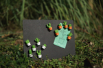 Набор магнитов cactus, 6 шт.