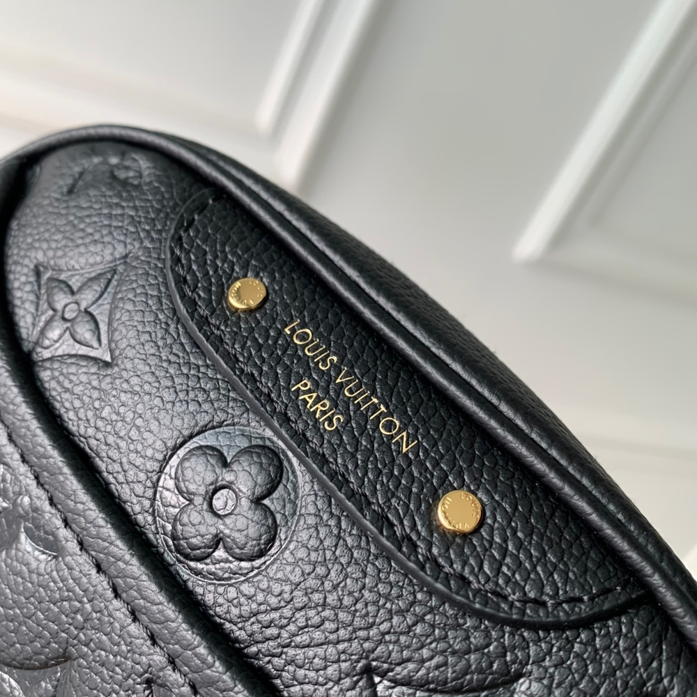 Louis Vuitton Tiny Camera Bag