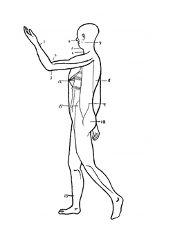 Jiu-jitsu. a comprehensive and copiously illustrated treatise on the wonderful Japanese method of attack and self-defense | Harry Hall Skinner