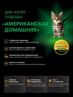 Корм для котят породы Американская домашняя, ягненок, 400 гр
