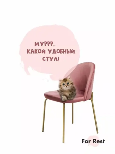 Стул "Мале" 1 шт. Антивандальная ткань, Золотые ножки