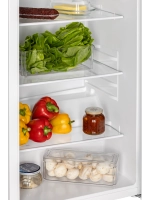 Холодильник Nord NS 86 AW