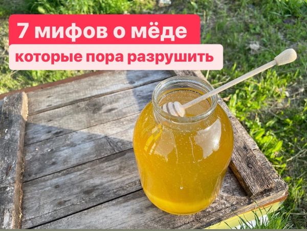 7 МИФОВ О МЁДЕ, КОТОРЫЕ ПОРА РАЗРУШИТЬ