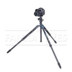 Falcon Eyes Arctic Line 817 SBH-8x