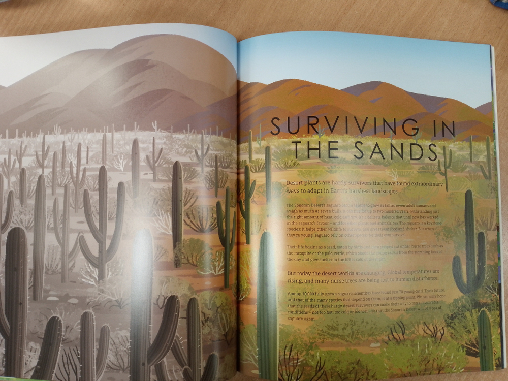 The Green Planet: For young wildlife-lovers inspired by David Attenborough's series