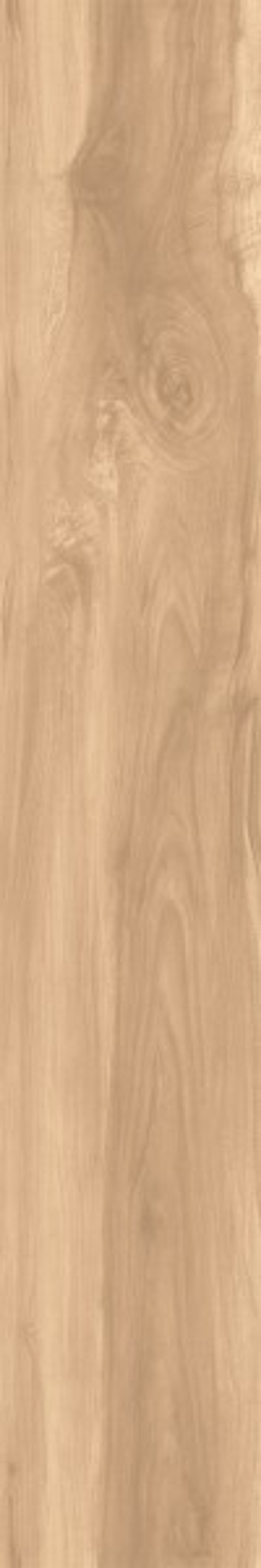 FOSSIL WOOD BRICH CW-RT09-B