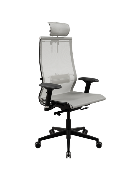 SynchroSit 10 L2-107D - TV /Km00/Nb00/D04P/H13mM-2D(M24.B11.G19.W03)