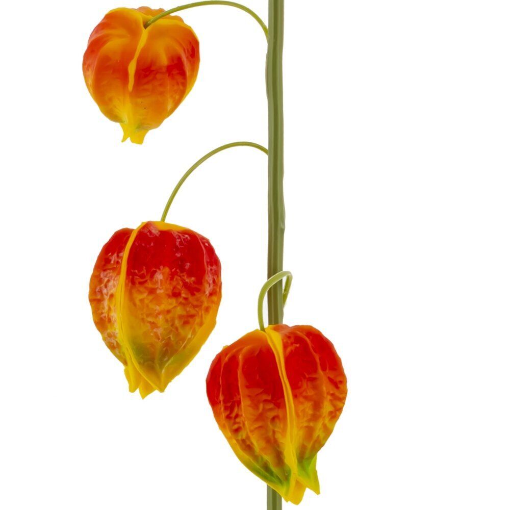 GAEM Цветок искусственный "Физалис" (Real Touch), L15 W12 H69 см