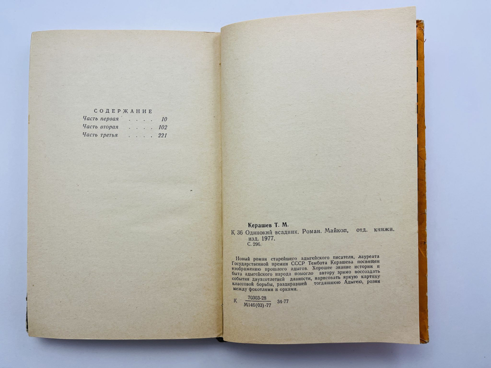 Одинокий всадник. Роман