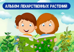 Альбом игр "Альбом лекарственных растений"