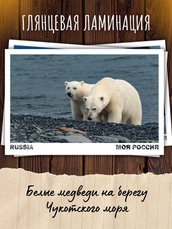 Моя Россия. Море