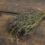 Мята горная, букет_4.jpg