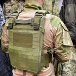 Плитник олива