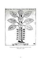 Осмысляя Юнга