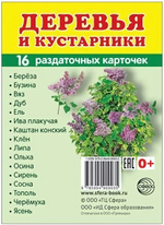 Карточки развивающие "Супер. Деревья и кустарники", 16 картинок с текстом 63х87мм (Сфера)