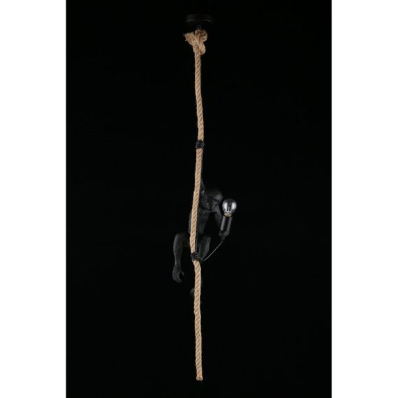 Подвесной светильник Aployt Magali APL.309.16.01