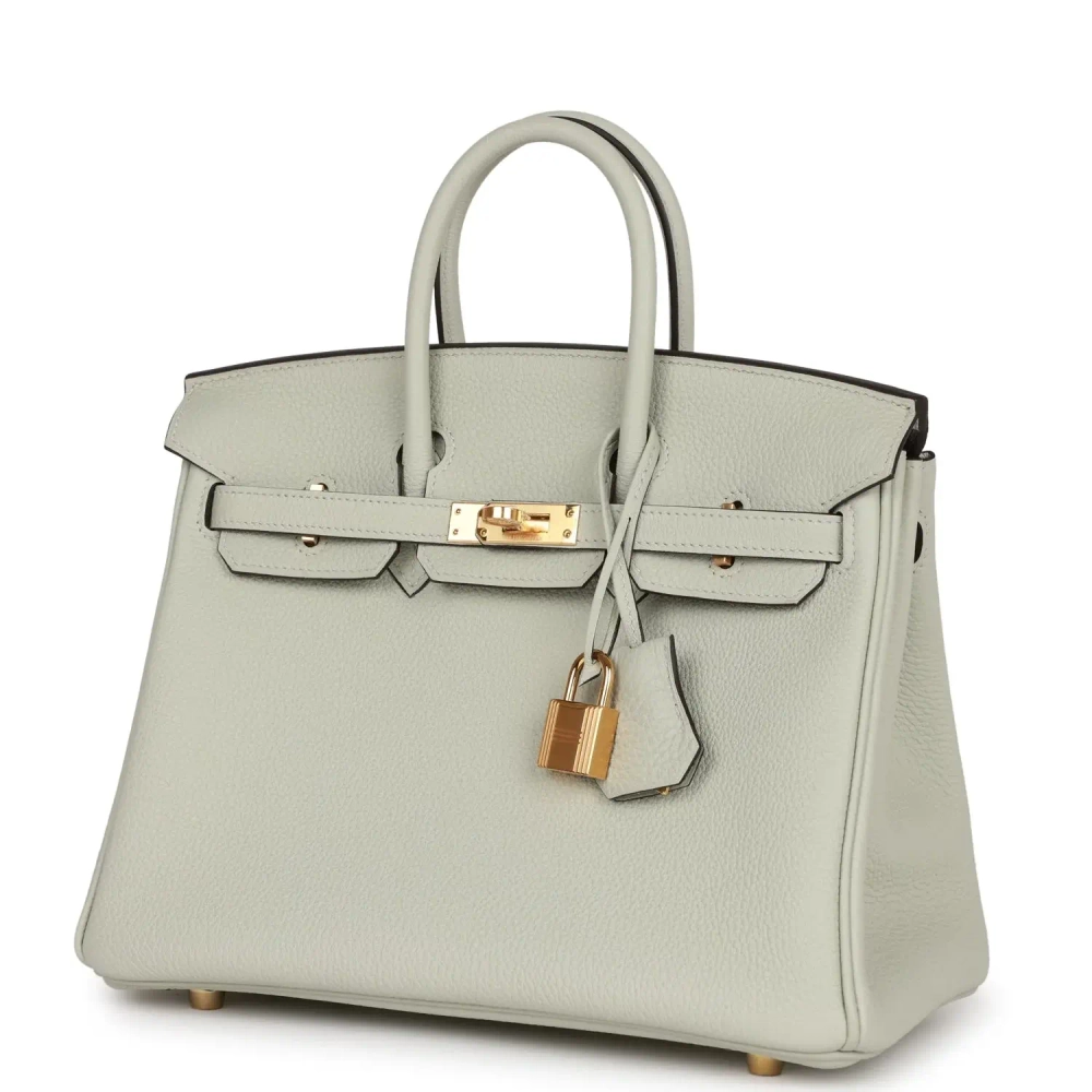 Женская сумка из коллекции B с золотой фурнитурой Hermès Birkin