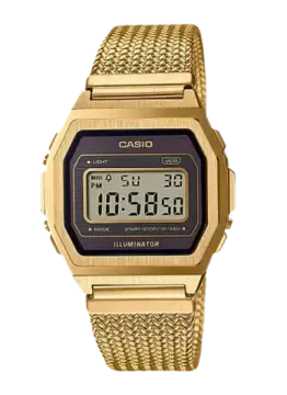 Наручные часы Casio A1000MGA-5EF