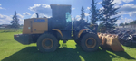 XCMG LW* Фронтальный погрузчик LW300FN (Дизельный, 6,8 л, 125 л.с., АТ)