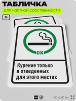 Табличка для частной территории "Курение только в отведенных местах", на дом, для участка, для подъезда, организаций и частных территорий, 40х30 см, Silver Plane x Айдентика Технолоджи