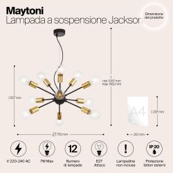 Люстра подвесная Maytoni   T546PL-12B