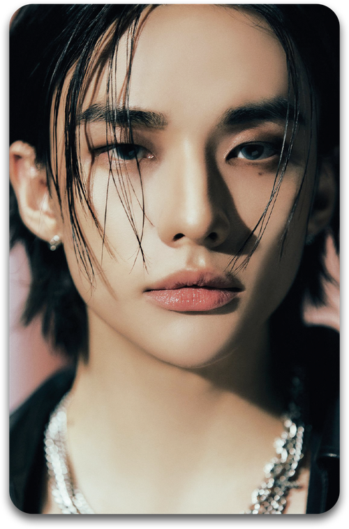 Карта / STRAY KIDS #1486