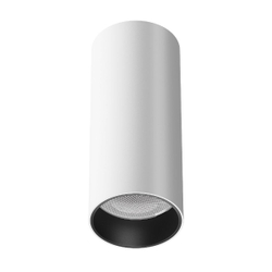 Накладной светильник Maytoni Technical C056CL-L12W4K-W-W