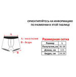 Трусы боксеры ED Hardy