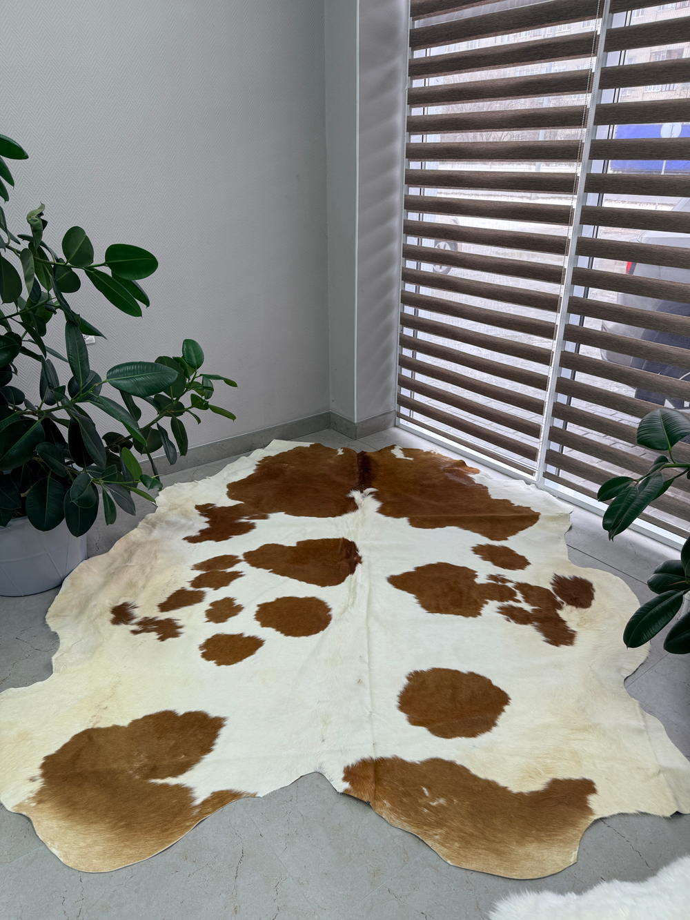 Коровья шкура на пол натуральная. 200 х 190 см
