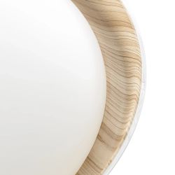 Citilux MEGA CL752452G LED RGB Светильник с пультом Белый+Клён