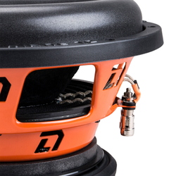 PHOENIX BLACK BASS 10