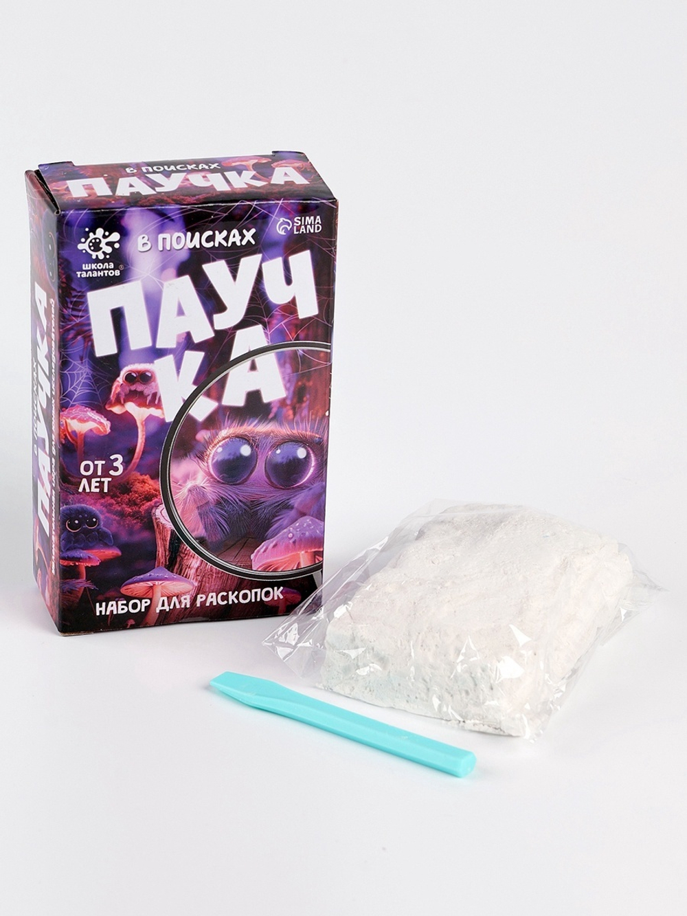 Раскопки «В поисках паучка»