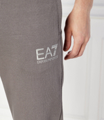 Спортивные штаны EA7 - пепельный(6DPP59 PJSHZ)