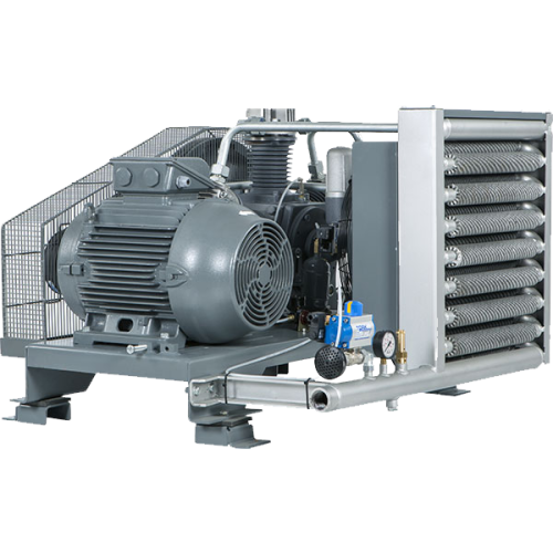 Компрессор поршневой дожимной (бустер) DALGAKIRAN DBK 30/10 (О)