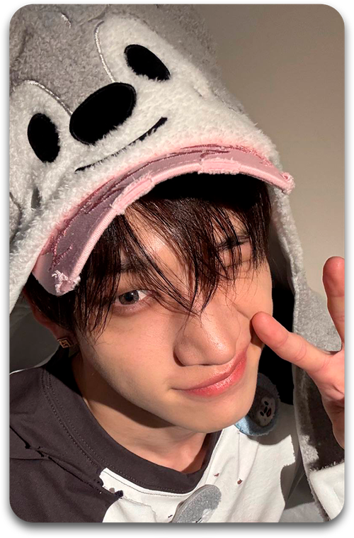 Карта / STRAY KIDS #3288