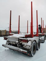 Дизель-С 6003* Прицеп сортиментовоз 600329