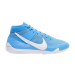 Кроссовки Nike Kd 13 Tb Promo