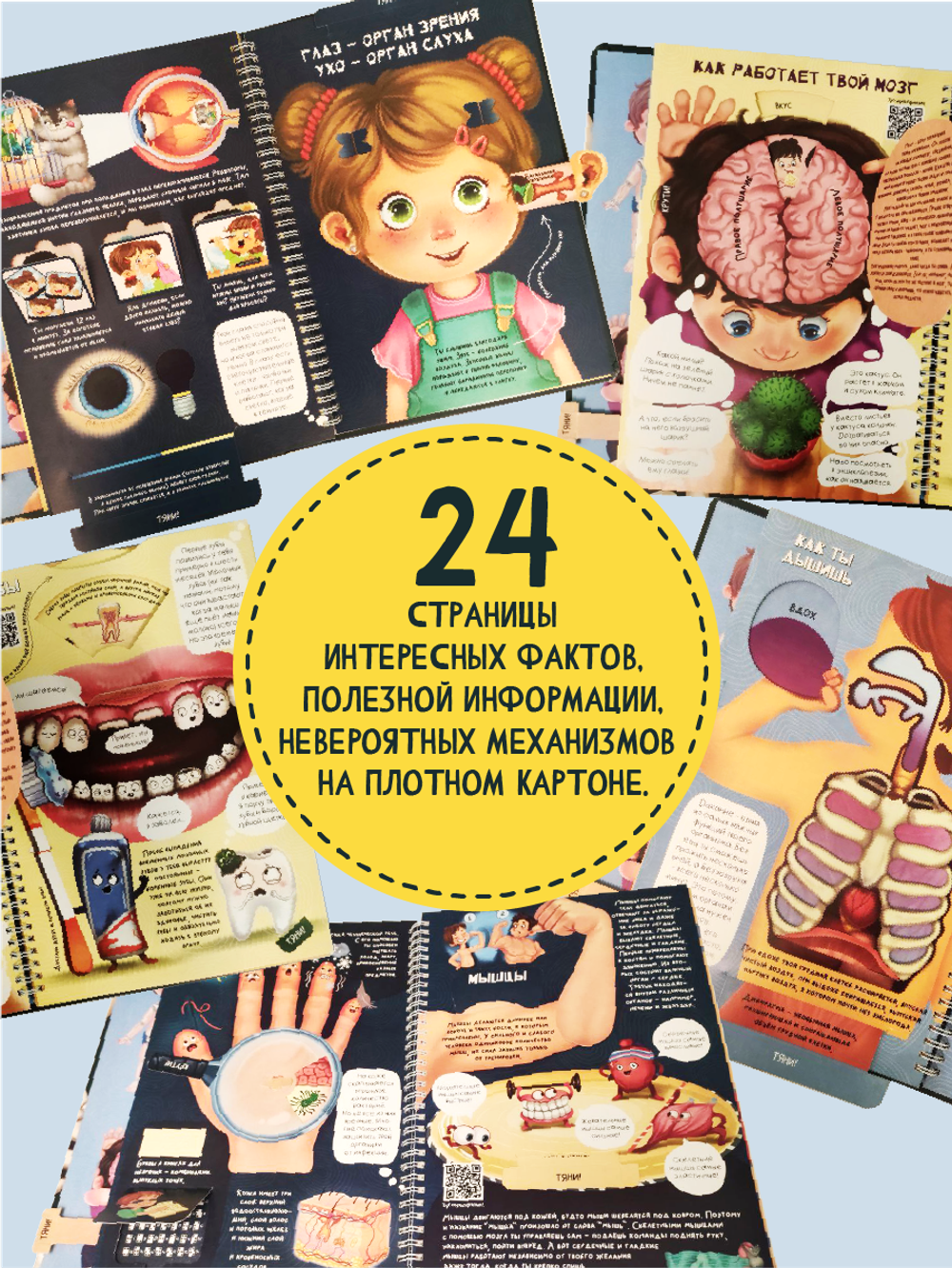 Интерактивная энциклопедия. Знакомься: твое тело