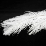 Подвесной светильник Lussole CUSCINO LSP-8601