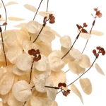 Искусственные цветы «FLOWERS MAGIC» 50см Эвкалипт кремовый